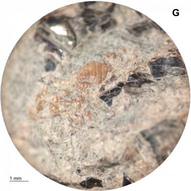 Magnified image of fish scales and longitudinal striations likely left by an inclusion that fell away from the surface